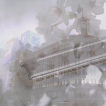 重なった写真で脳トレ初級問題集