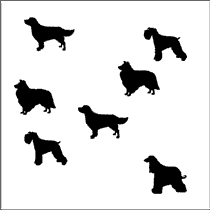 犬のイラストで脳トレ問題集（初級）