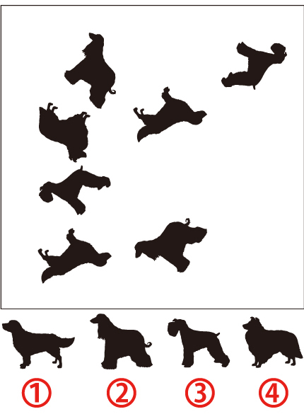 同じイラスト脳トレ問題