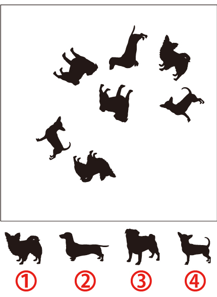 同じイラスト脳トレ問題