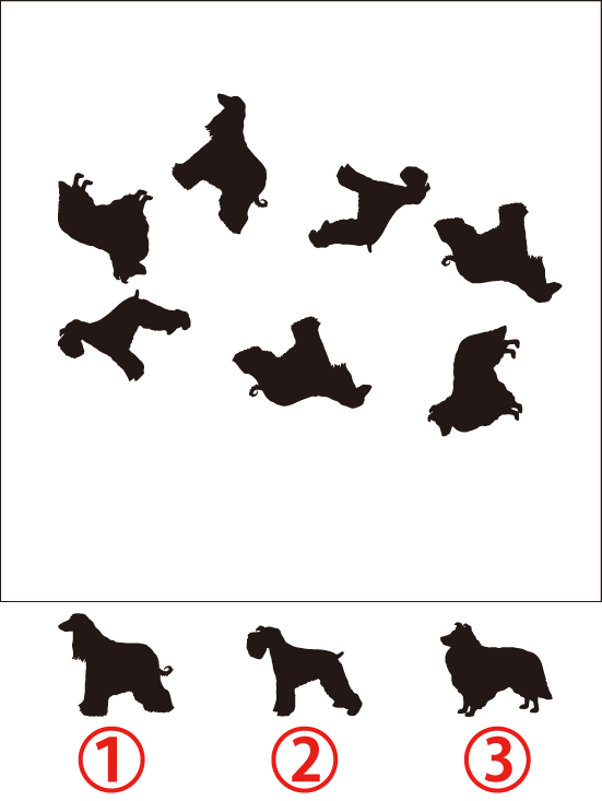 無料 脳トレイラスト