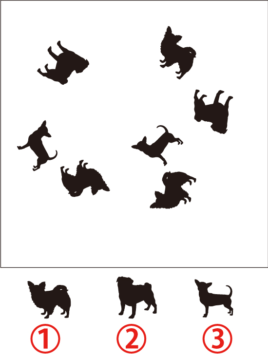 無料 脳トレイラスト