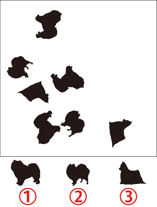 無料 脳トレイラスト