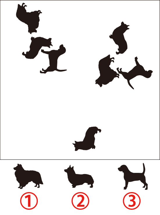 無料 脳トレイラスト